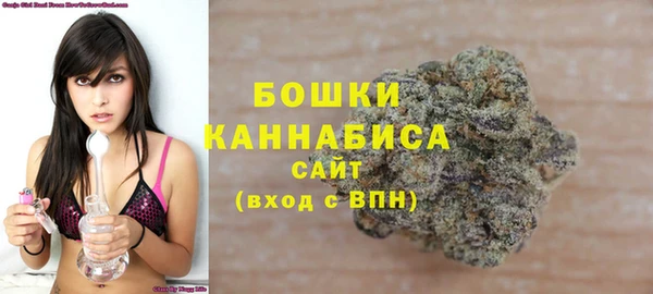 гашик Переславль-Залесский