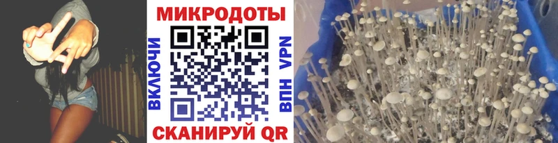 где продают mega рабочий сайт Галлюциногенные грибы прущие грибы Алзамай